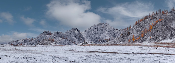 Similar image 22296316