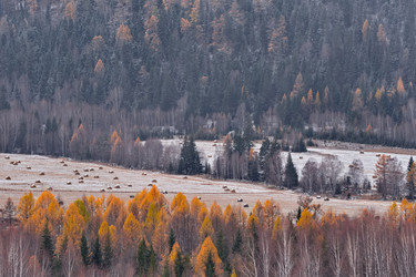 Similar image 22296317