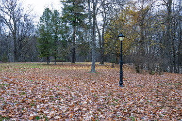 Similar image 22317230