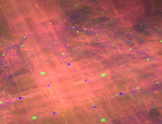 Similar image 22302976