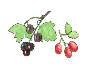 Similar image 22294334