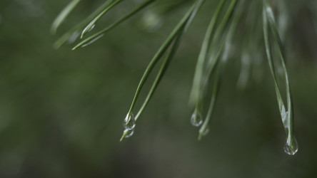 Similar image 22316254