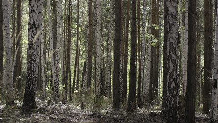 Similar image 22316260