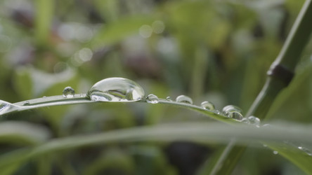 Similar image 22327799