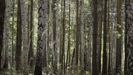 Similar image 22327800