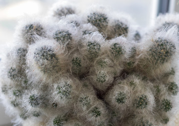 Similar image 22301788