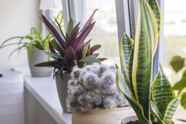 Similar image 22301789