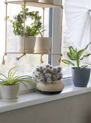 Similar image 22301790