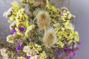 Similar image 22301813