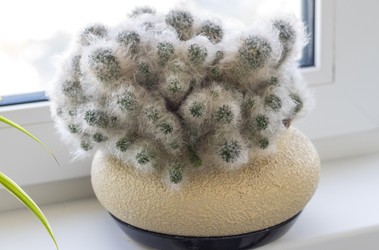 Similar image 22301819