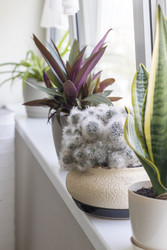 Similar image 22301820