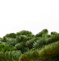 Similar image 22296303