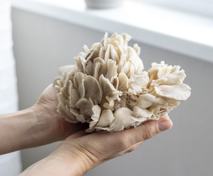 Similar image 22301851