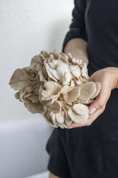 Similar image 22301852