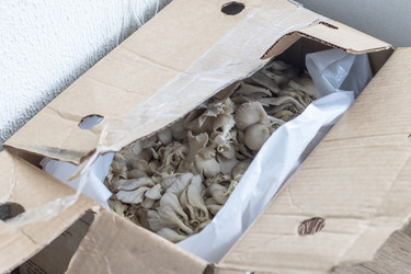 Similar image 22301855