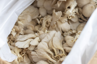 Similar image 22301856