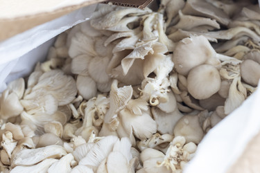 Similar image 22301857