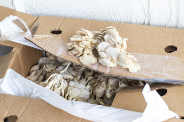 Similar image 22301860