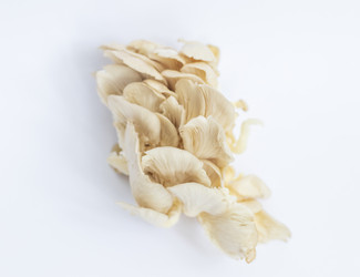 Similar image 22301861