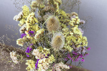 Similar image 22301867