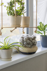 Similar image 22301873