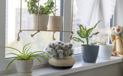 Similar image 22301874