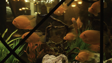 Similar image 22328654