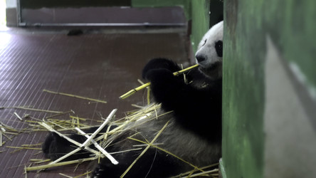 Similar image 22328655