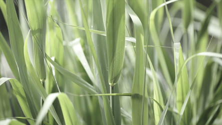 Similar image 22328659