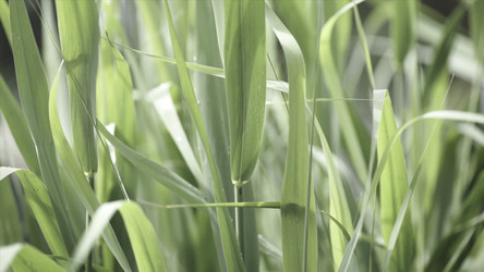 Similar image 22329078