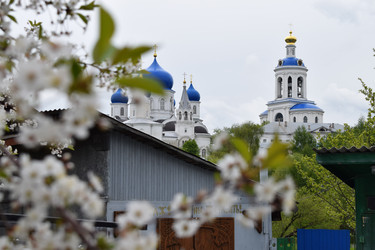 Similar image 22296806