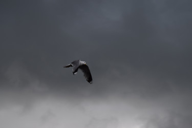 Similar image 22296807