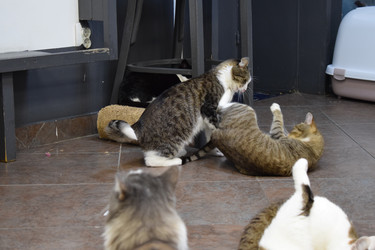 Similar image 22296837