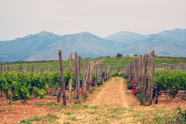 Similar image 22305646