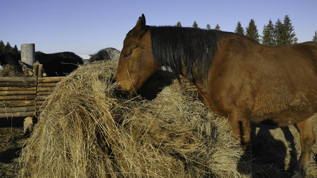 Similar image 22328302