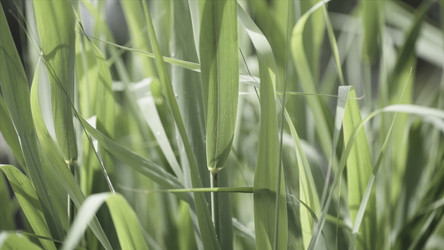 Similar image 22328306