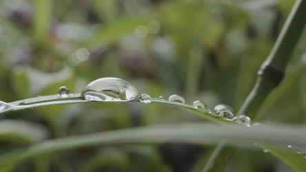 Similar image 22328661