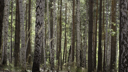 Similar image 22328662