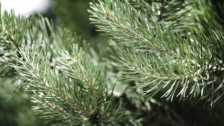 Similar image 22328669