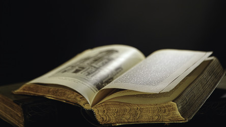 Similar image 22328670