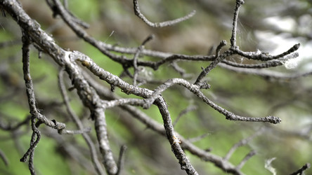 Similar image 22328942