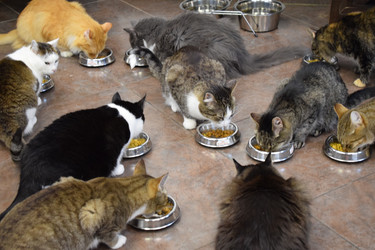 Similar image 22296812