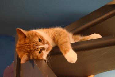 Similar image 22296813