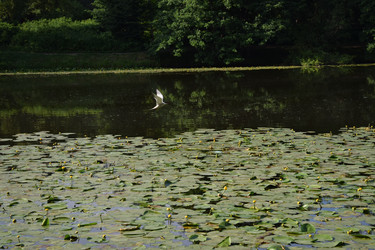 Similar image 22296815