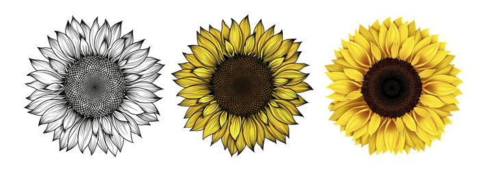 Similar image 22302219