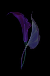 Similar image 22302225