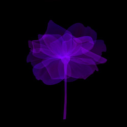 Similar image 22302228