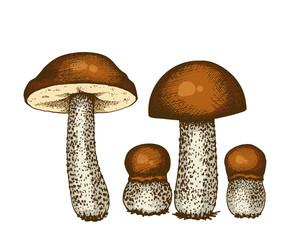 Similar image 22302950