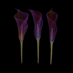 Similar image 22302951