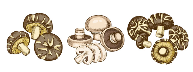 Similar image 22302952